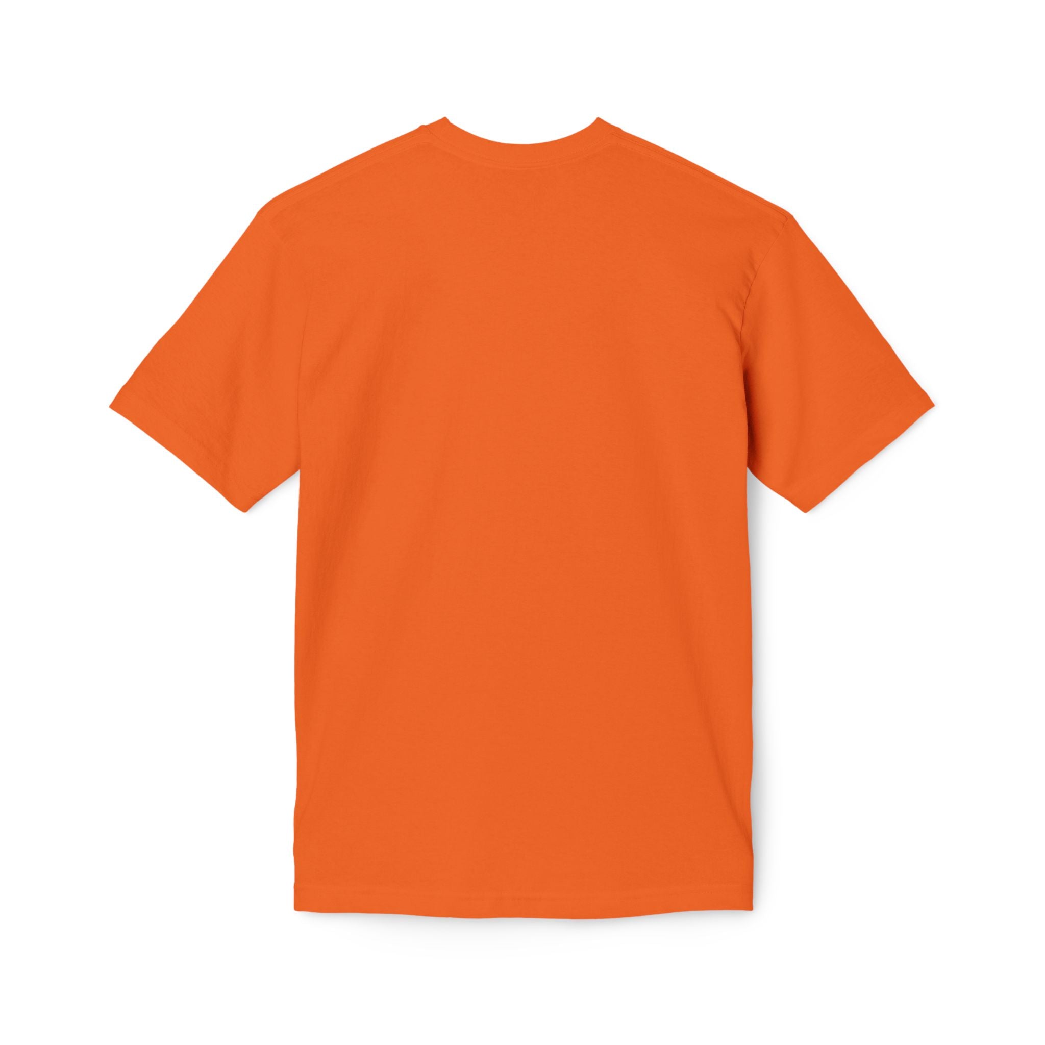 250th Anniversary Commemorative T-Shirt – Historic U.S. Celebration Design